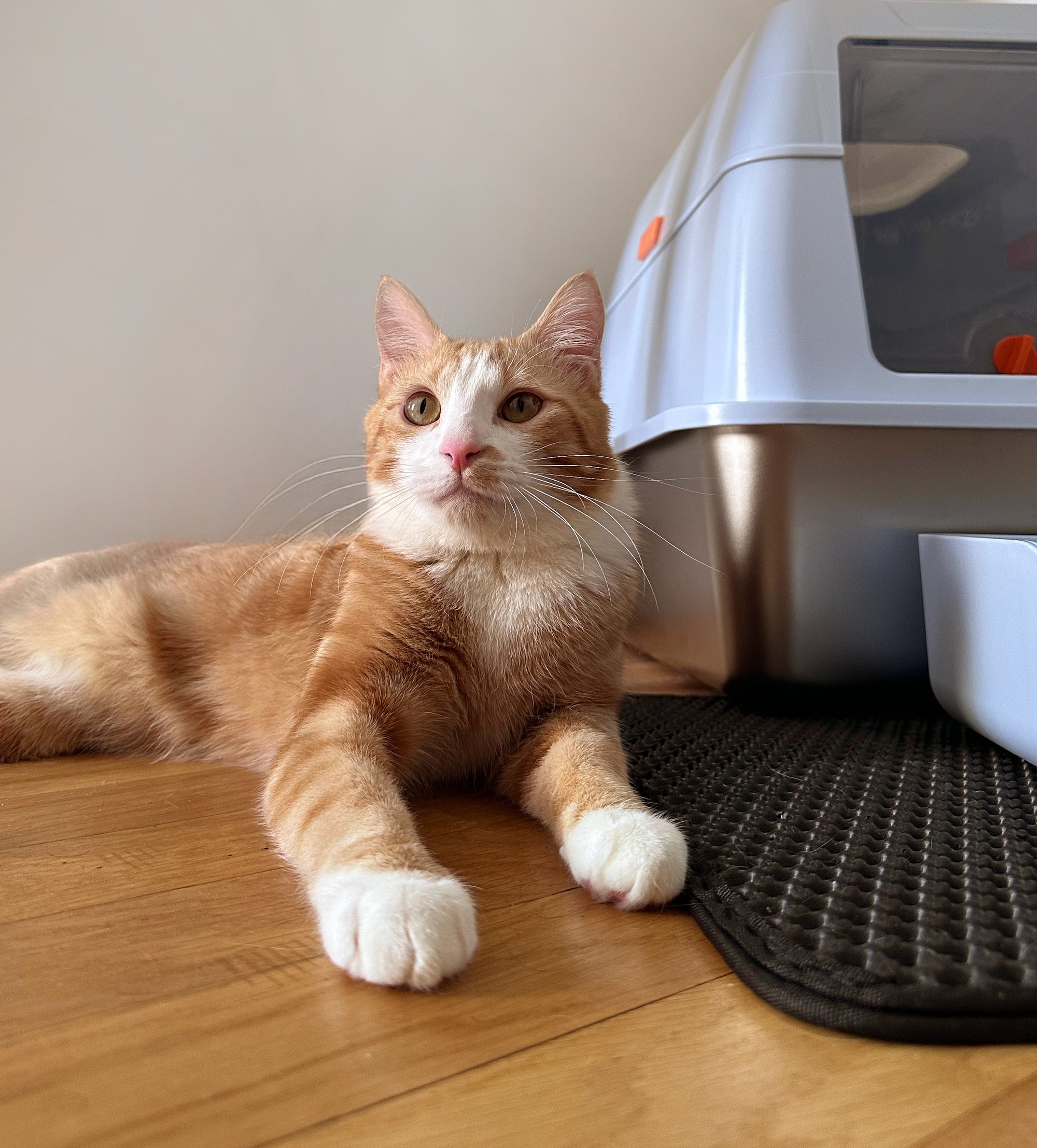 Hygiène & entretien