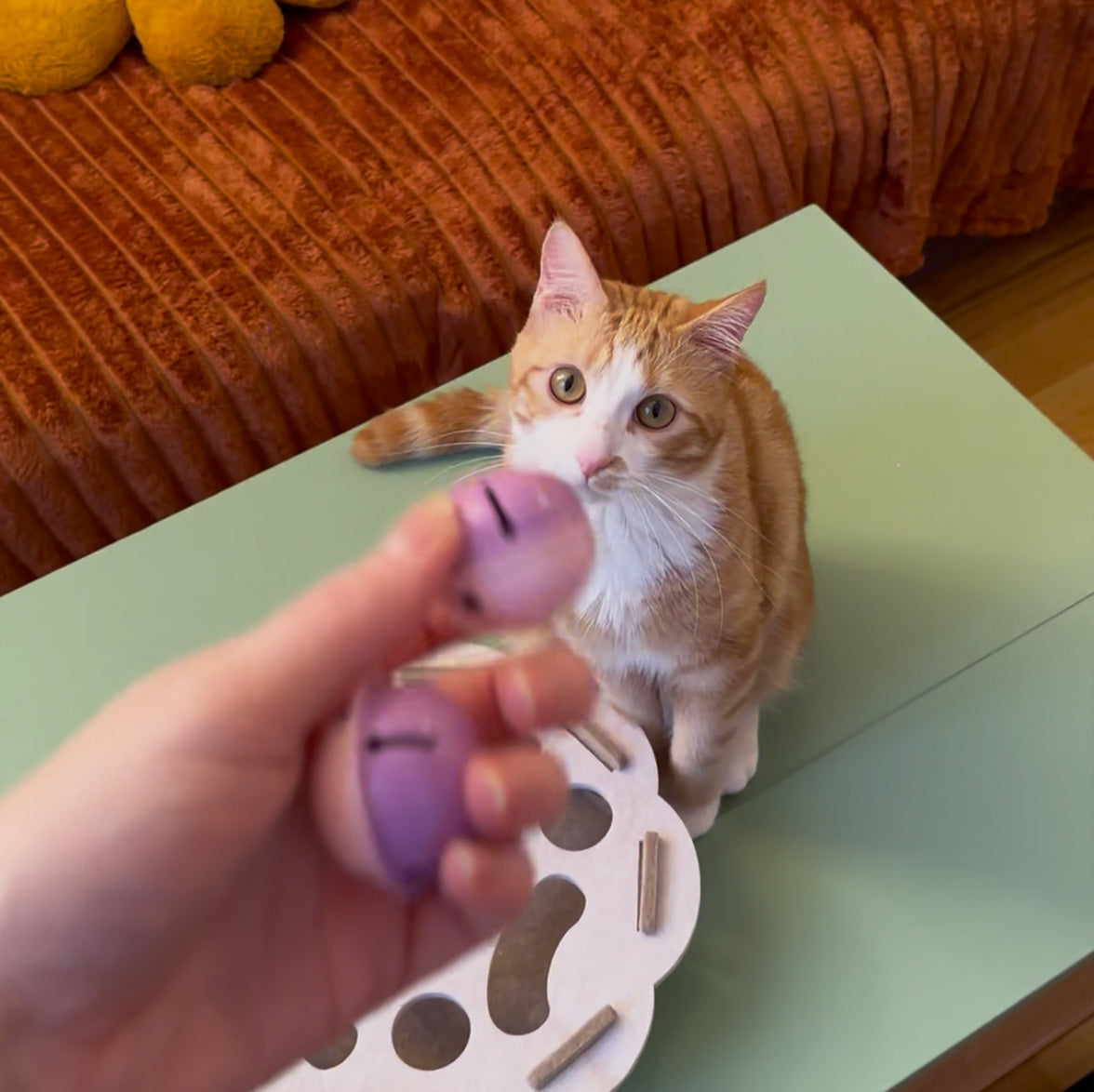 Puzzle ludique interactif