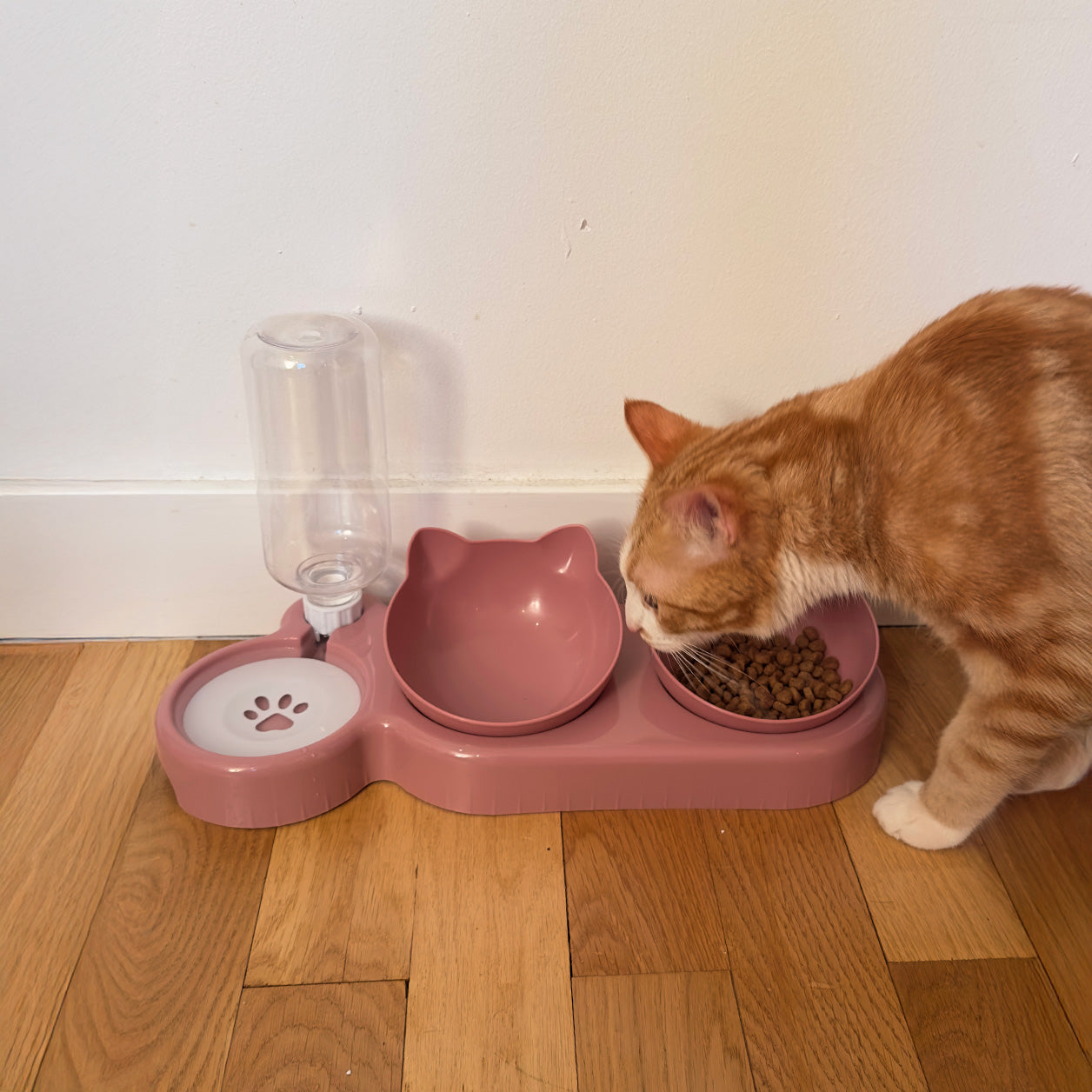 Gamelle double avec distributeur d'eau