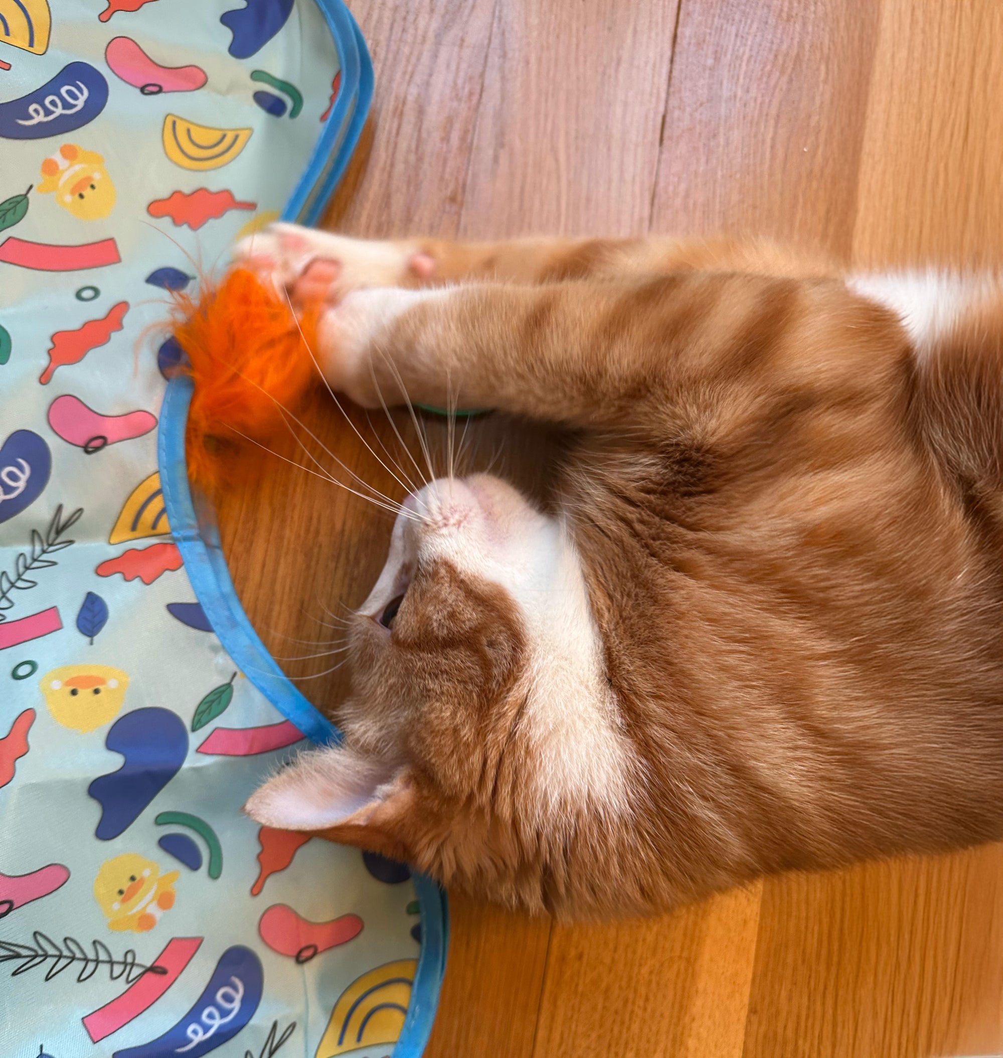 Tapis étoile interactif