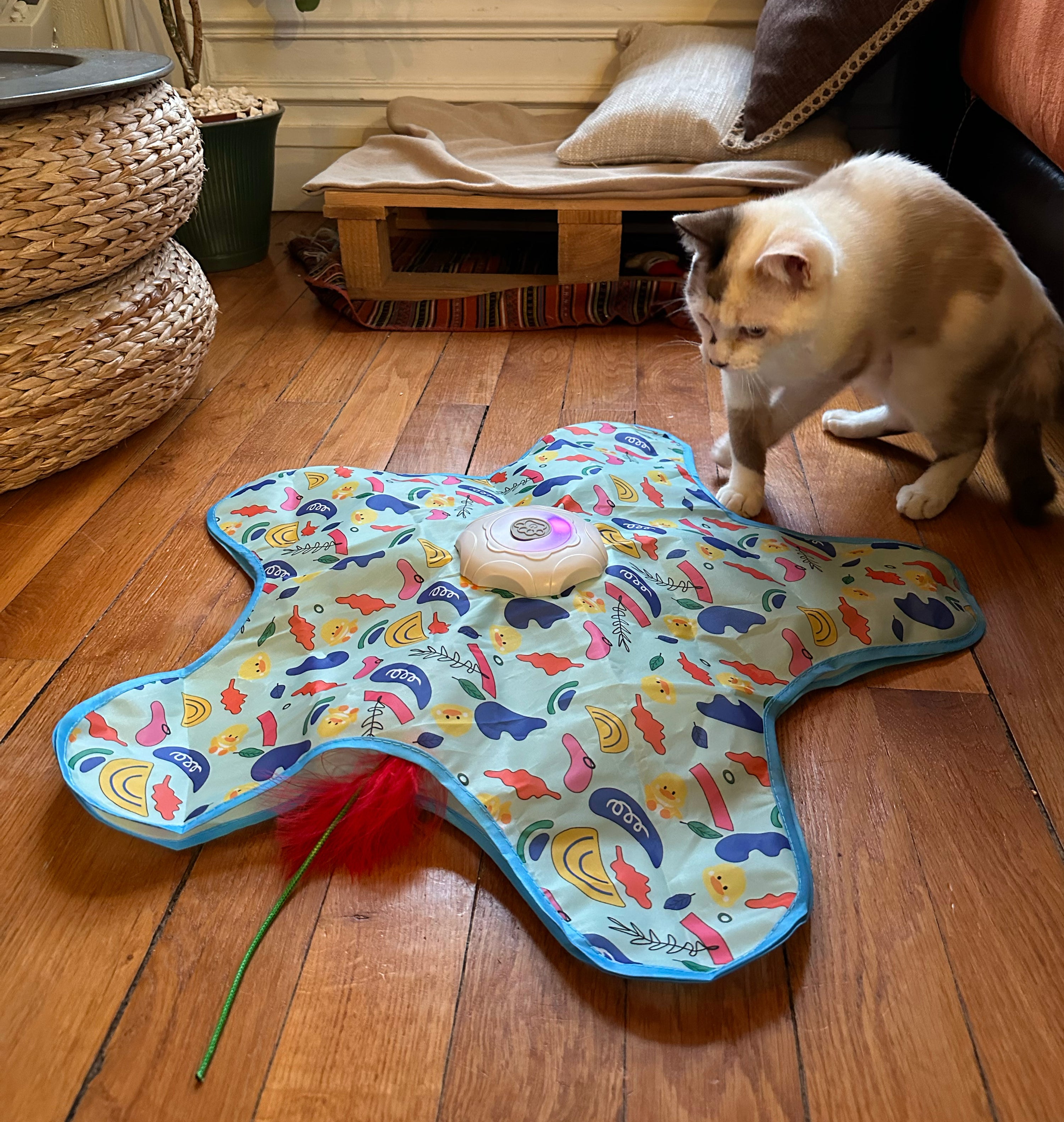 Tapis étoile interactif