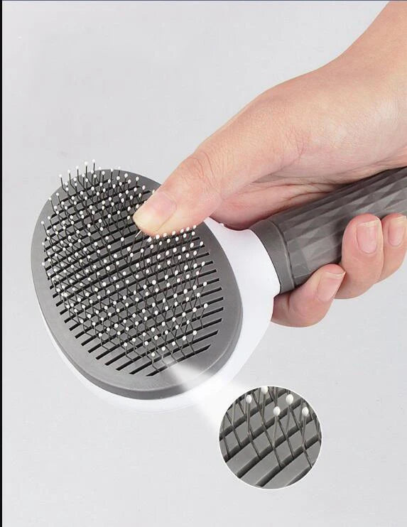 Brosse de toilettage