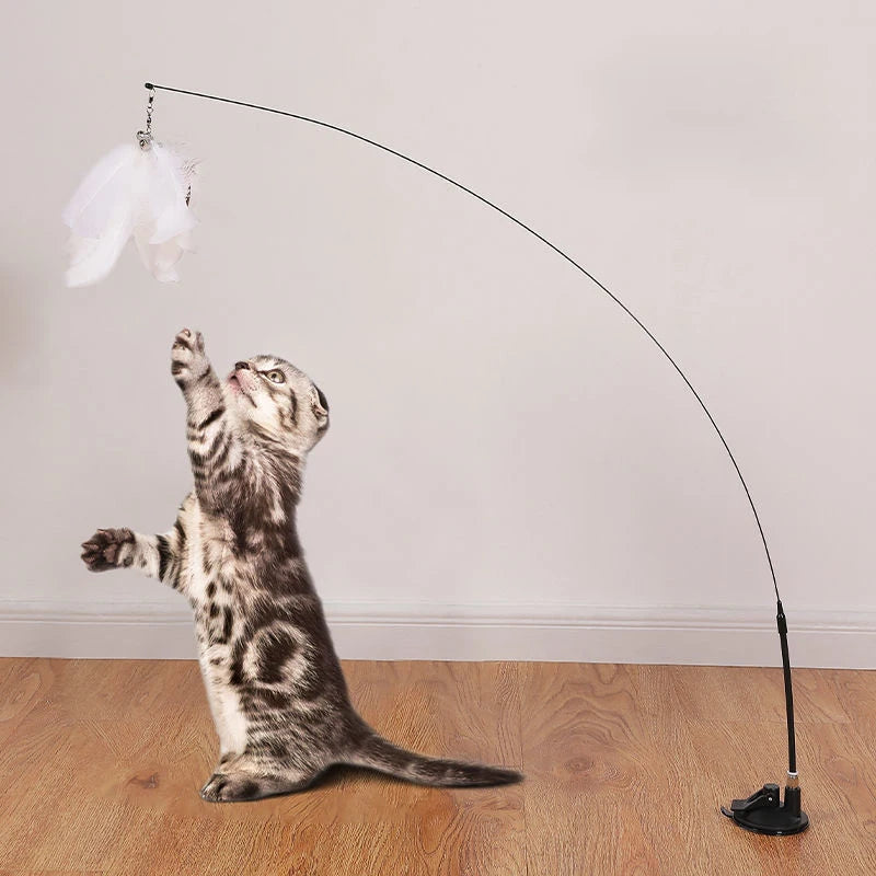 Plume avec ventouse