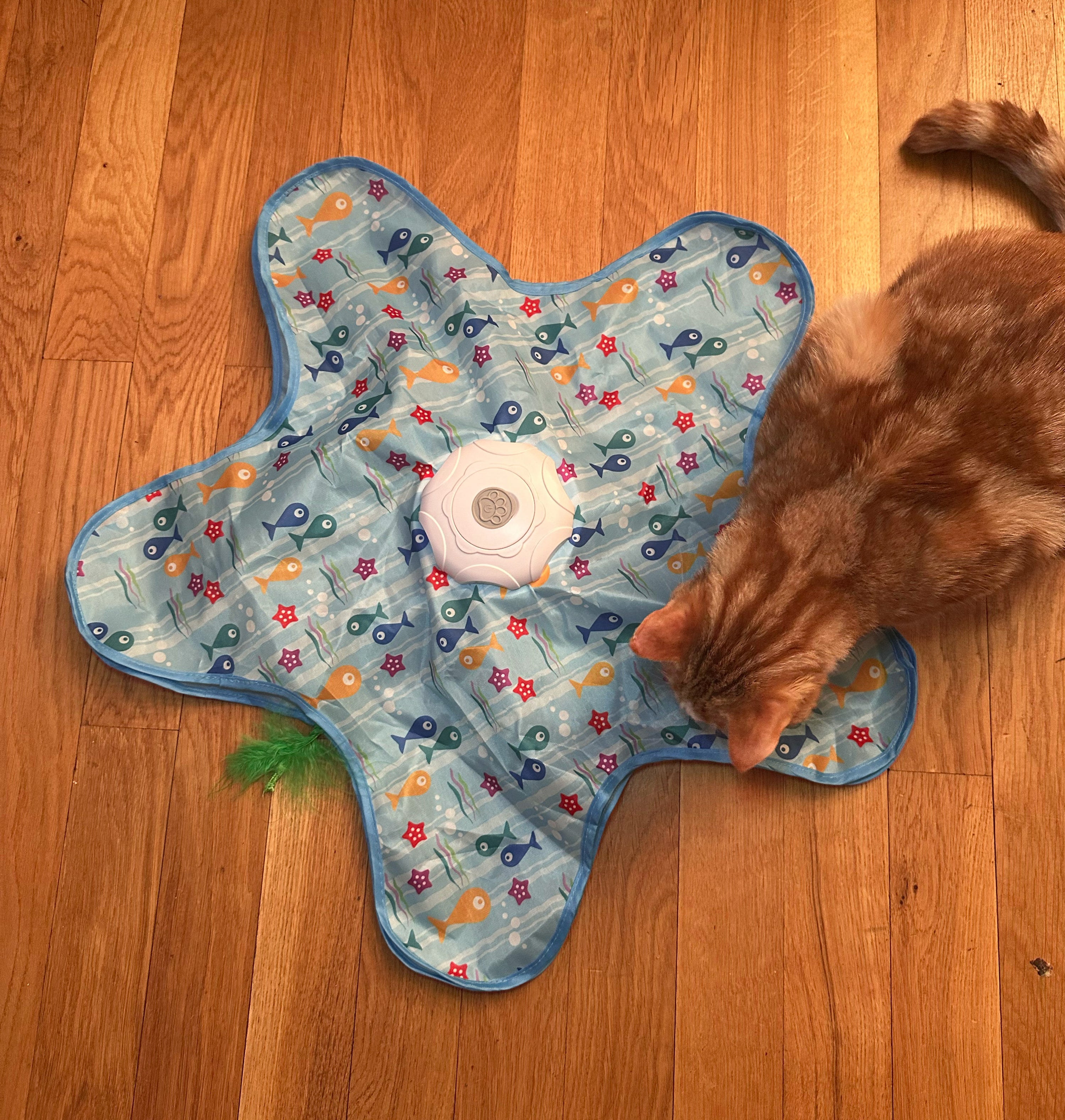 Tapis étoile interactif