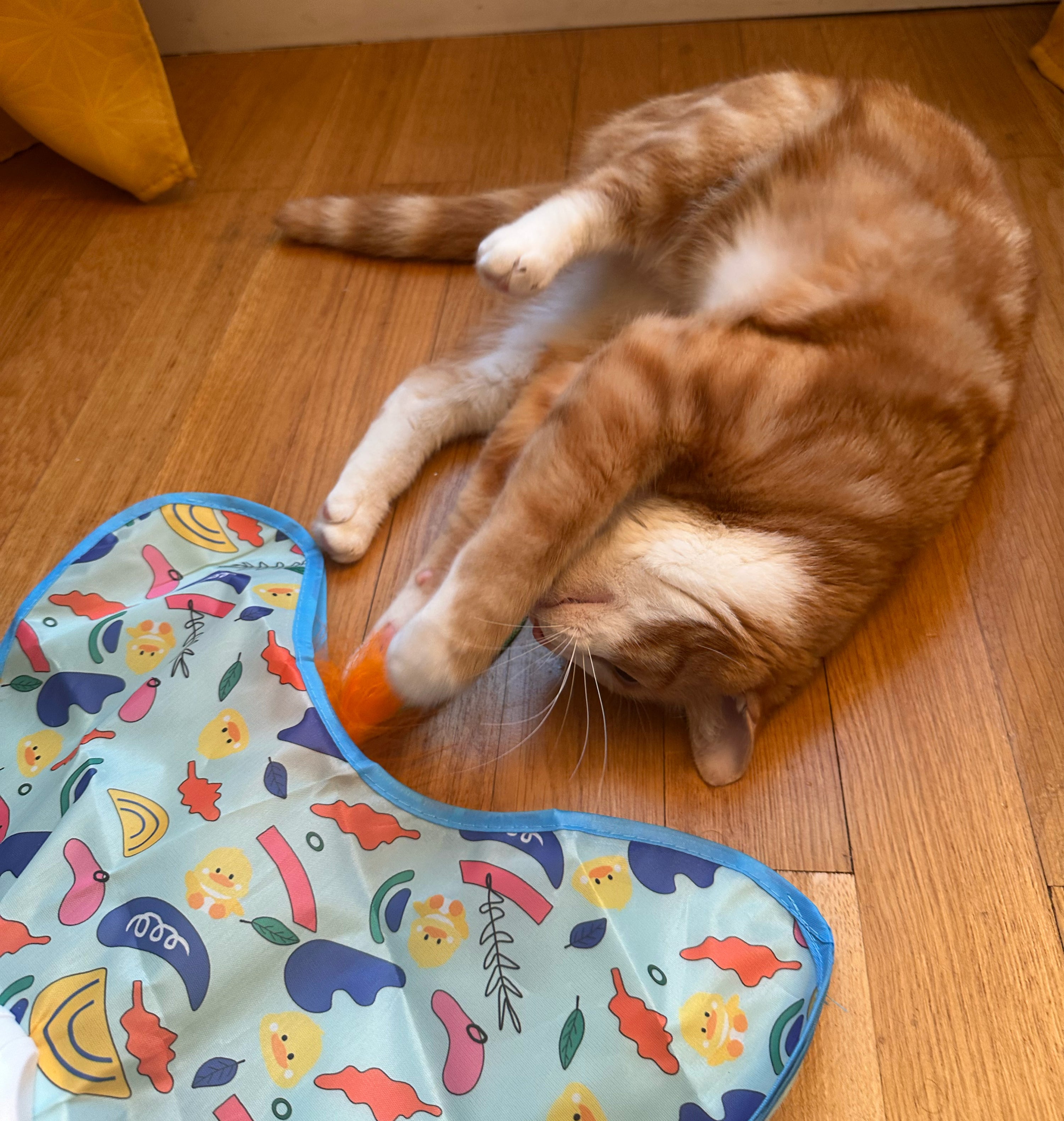 Tapis étoile interactif